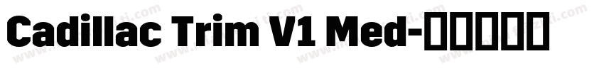 Cadillac Trim V1 Med字体转换